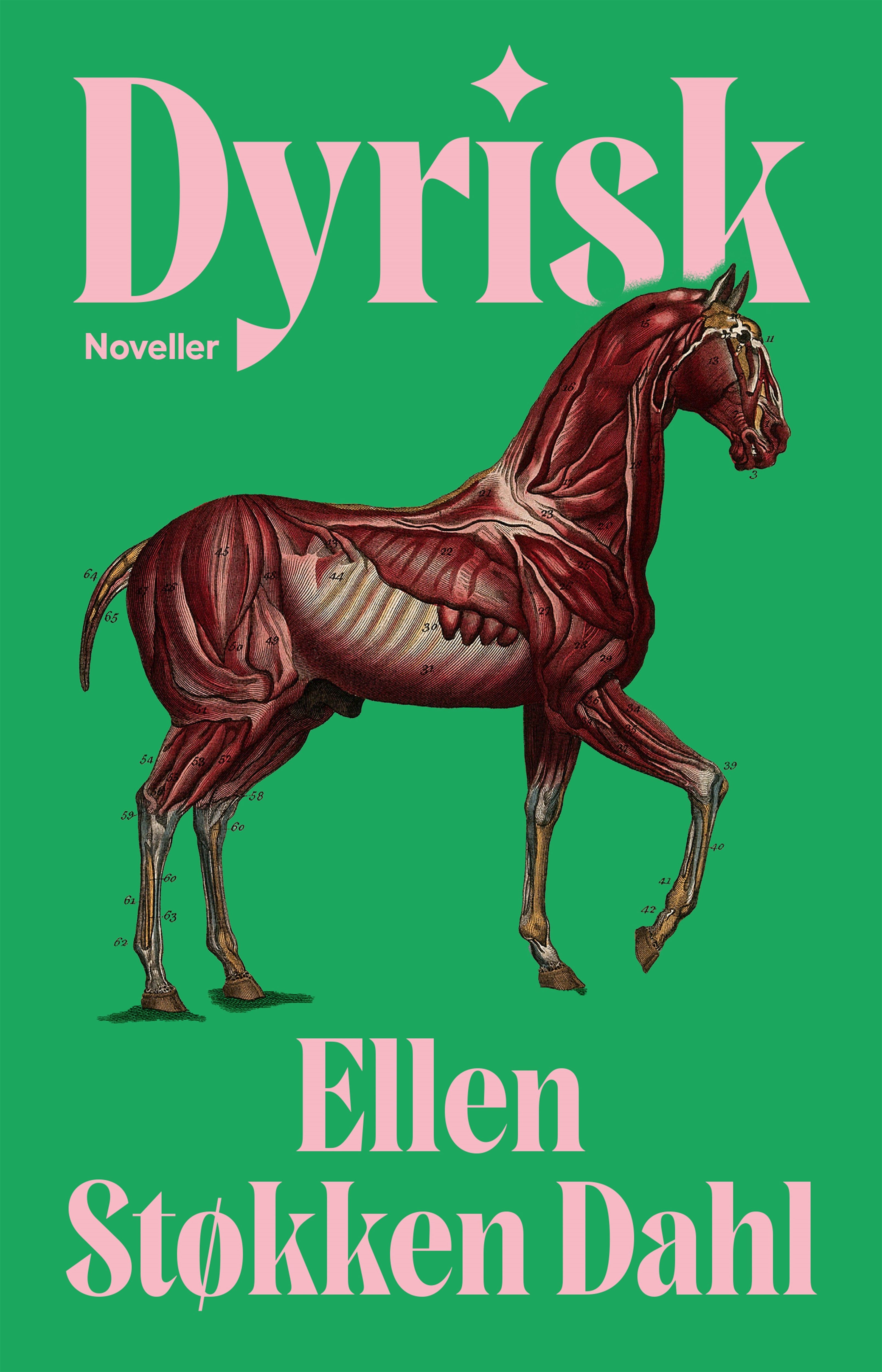 "Dyrisk" av Ellen Støkken Dahl
