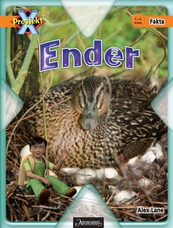 "Ender - 1.-4. trinn" av Alex Lane