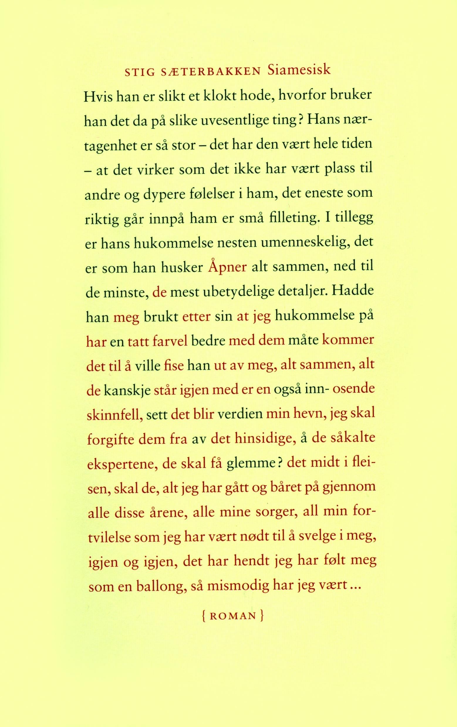 "Siamesisk - roman" av Stig Sæterbakken