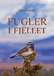 "Fugler i fjellet" av Tom Schandy