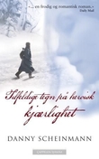 "Tilfeldige tegn på heroisk kjærlighet" av Danny Scheinmann