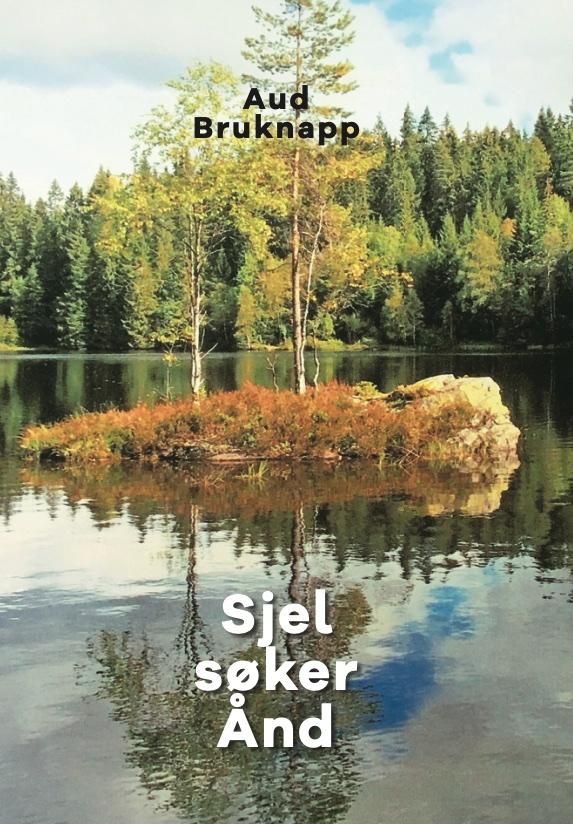 "Sjel søker Ånd" av Aud Bruknapp