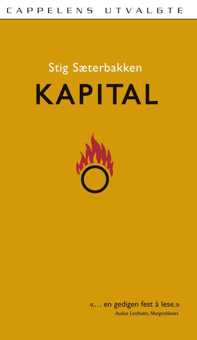 "Kapital - roman" av Stig Sæterbakken