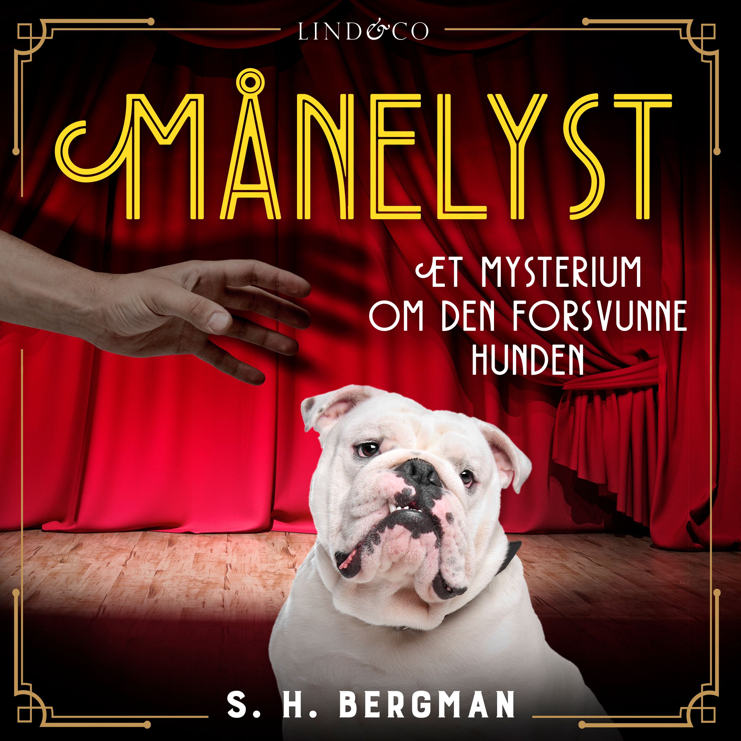 "Månelyst - et mysterium om den forsvunne hunden" av S.H. Bergman