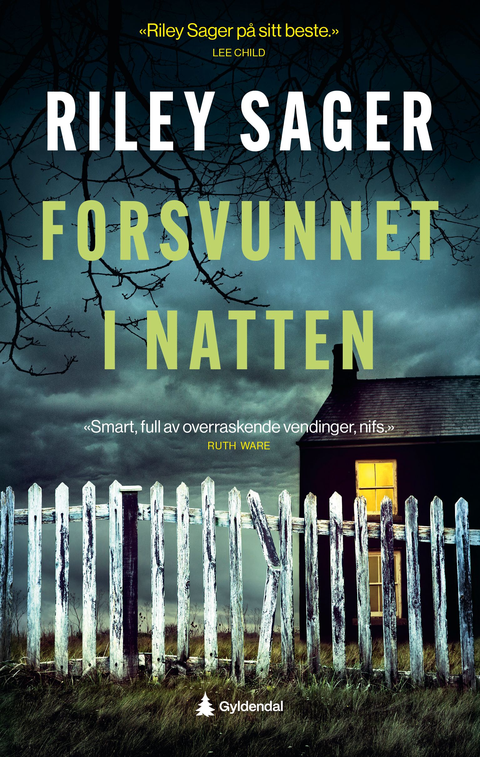 "Forsvunnet i natten" av Riley Sager