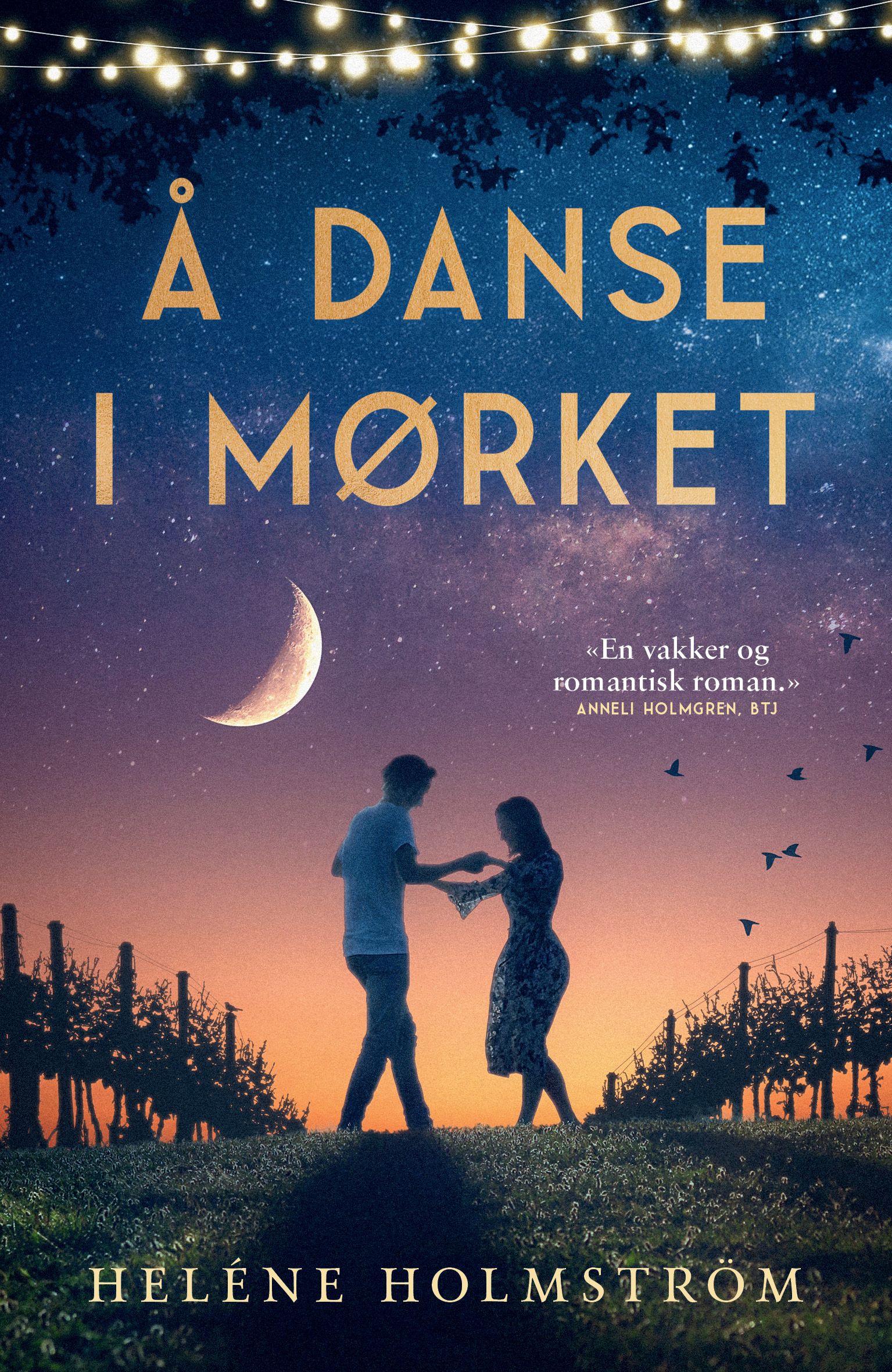 "Å danse i mørket" av Heléne Holmström