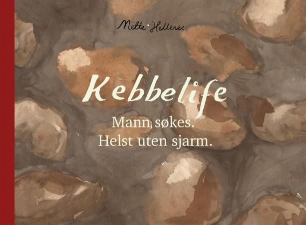 "Mann søkes, helst uten sjarm" av Mette Hellenes