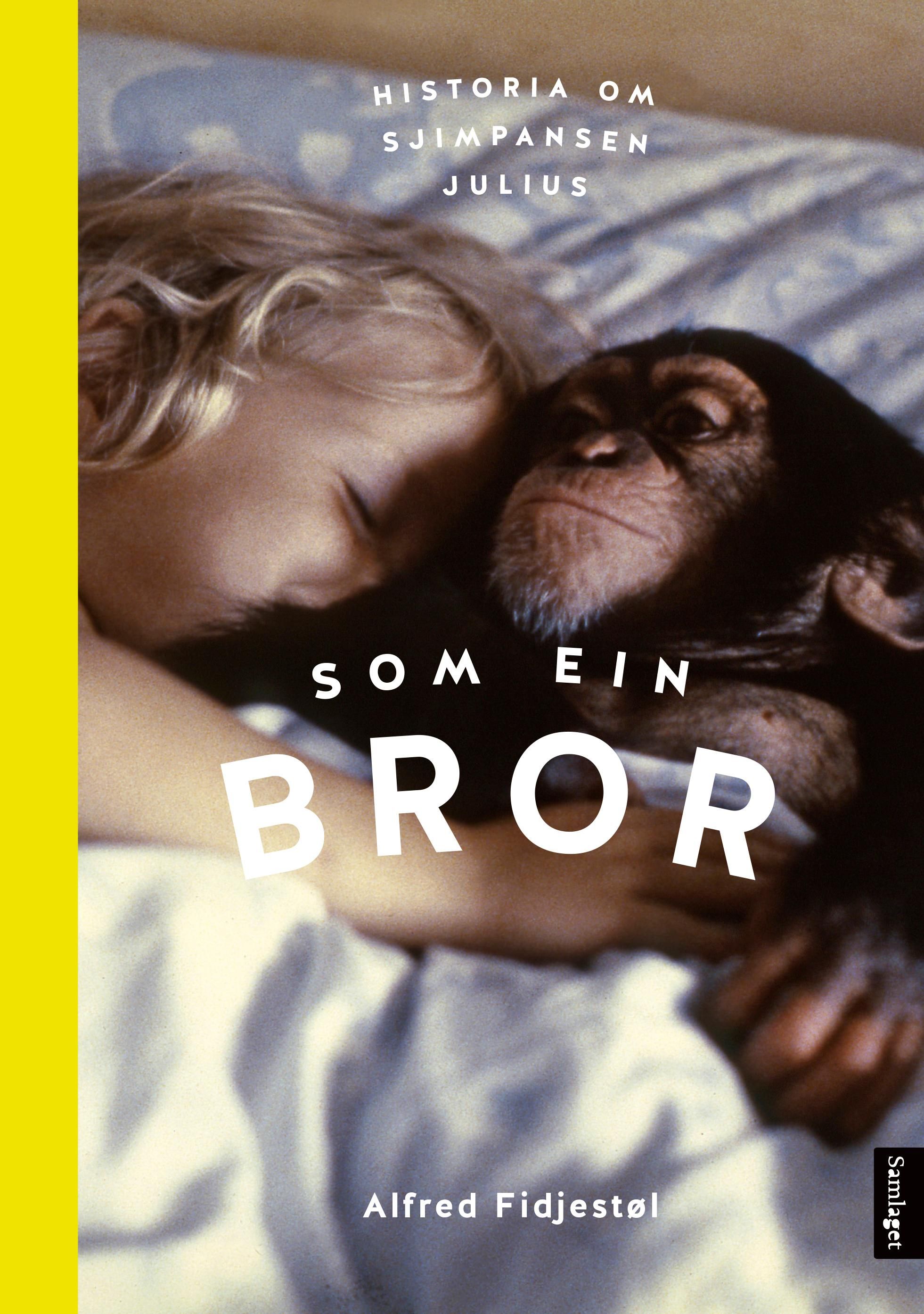 "Som ein bror - historia om sjimpansen Julius" av Alfred Fidjestøl