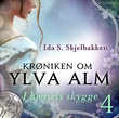 Omslagsbilde av I hjertets skygge