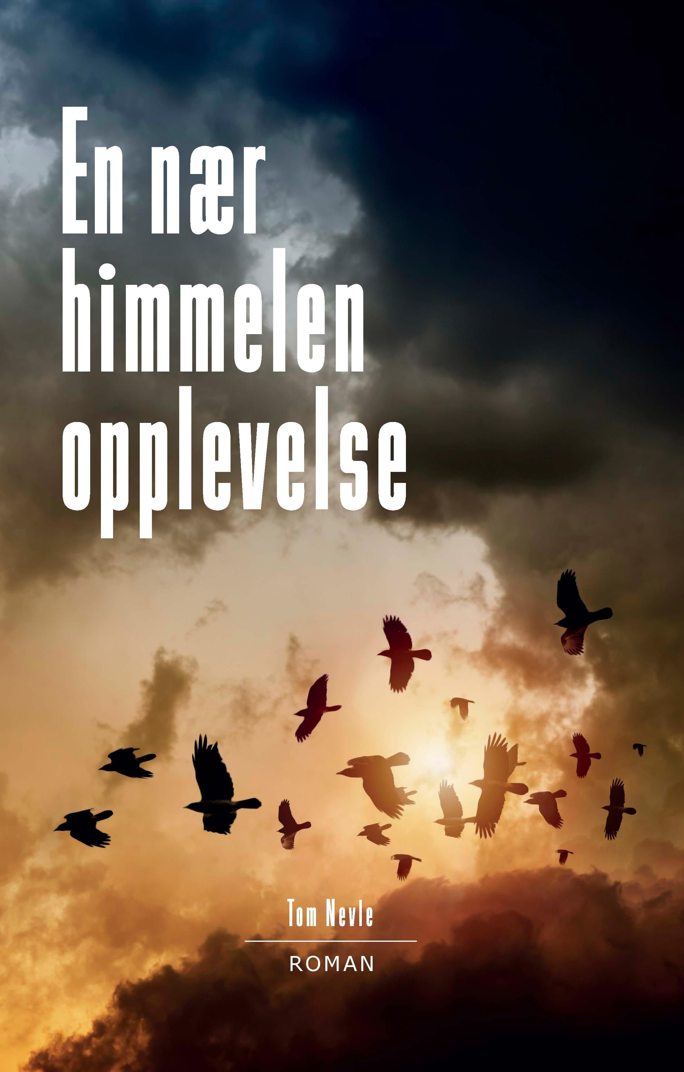 "En nær himmelen opplevelse - roman" av Tom Nevle